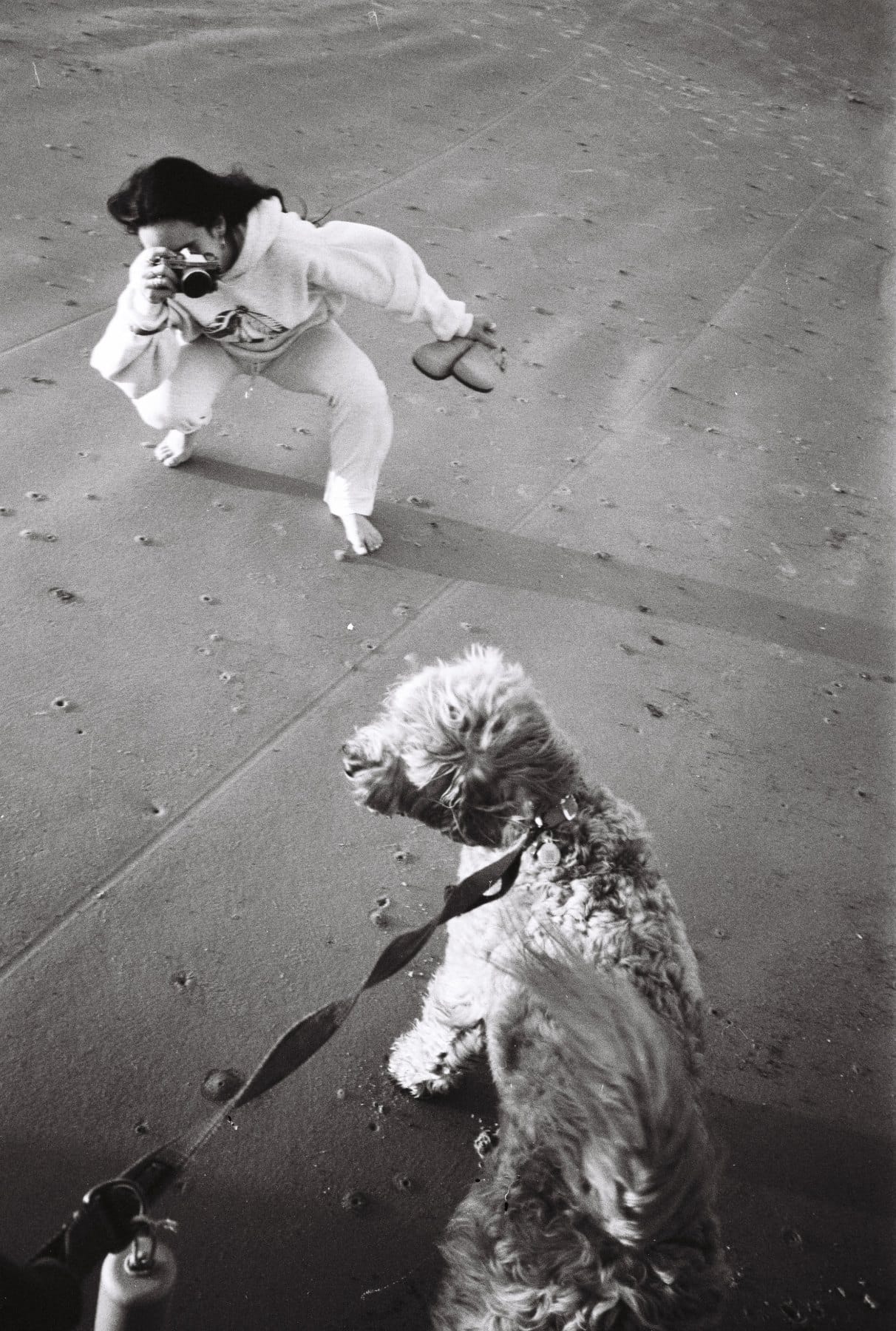 Black-and-white film photo from above of a woman crouched with a camera as a fluffy leashed dog shakes toward the lens.