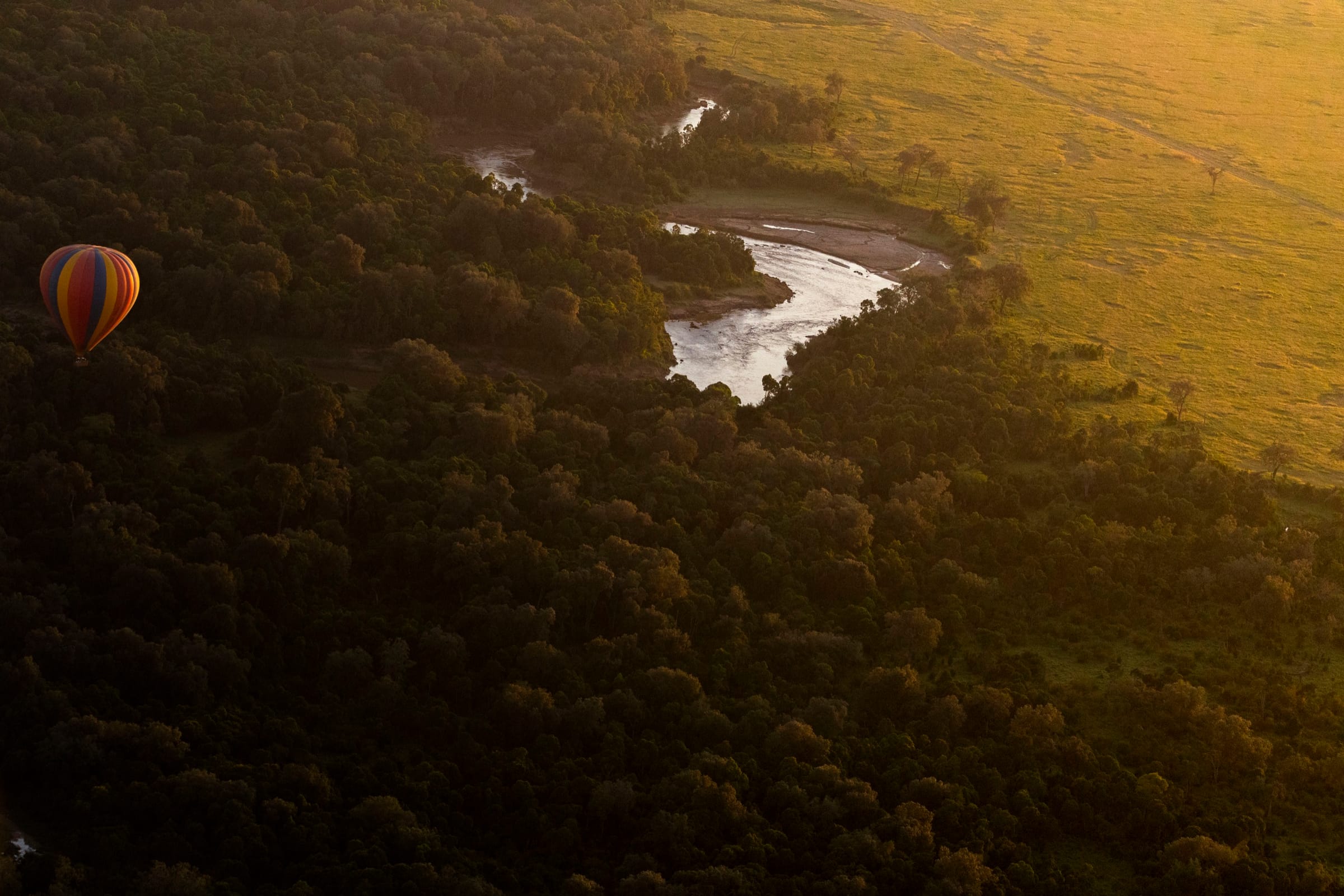 Aerial view of a hot-air balloon over dense dark forest, with a winding river glinting in golden light.
