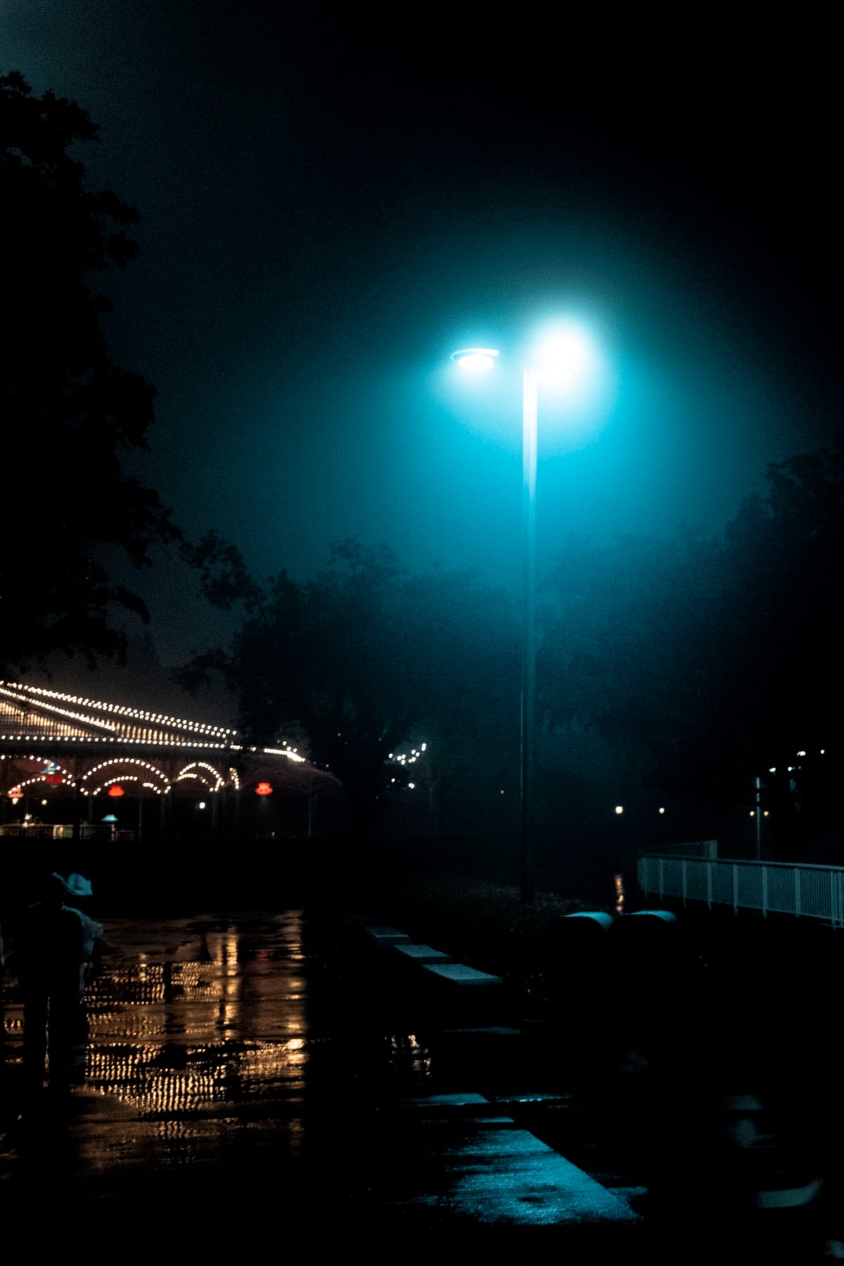 Night scene of a glowing streetlamp in fog above a wet walkway, with lit park buildings across the water.